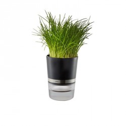 Taper, contenitori, conservatori: Botanico vaso per erbe resina inox