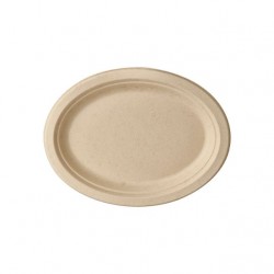 CG024 Piatto Decorativo Conchiglie Naturale Multicolore 20x20x1 Cm - Elegante Oggetto Per Interni