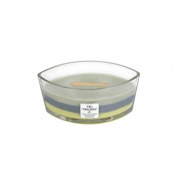 Candela con tripla essenza profumata: ellipse woodland shade Candela con tripla essenza profumata: ellipse woodland shade
