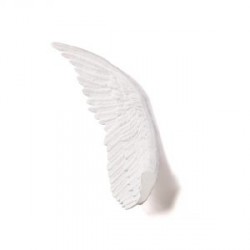 Complementi a muro: Memorabilia-mvsevm wings right