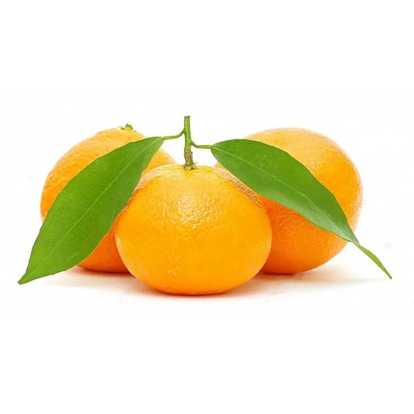 Clementine foglia kg.1