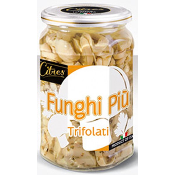 Citres funghi più champ. - gr.520