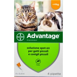 Bayer advantage spot on gatti e conigli kg. 4 kg.