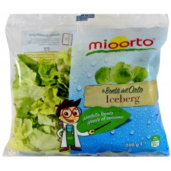 mioorto insalata iceberg gr.200