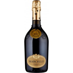 Vino lambrusco marcello etichetta oro cl.75