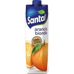 Santàl succo Arancia bionda lt.1