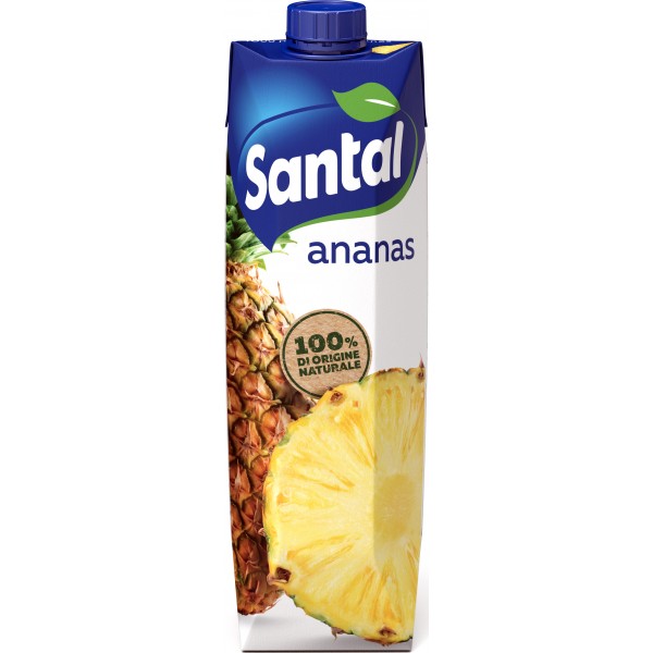 Santal Succo Di Frutta Gusto Ananas Selezione In Brick lt. 1