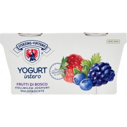 Sterzing Vipiteno Yogurt Frutti di Bosco 2 x 125 gr.