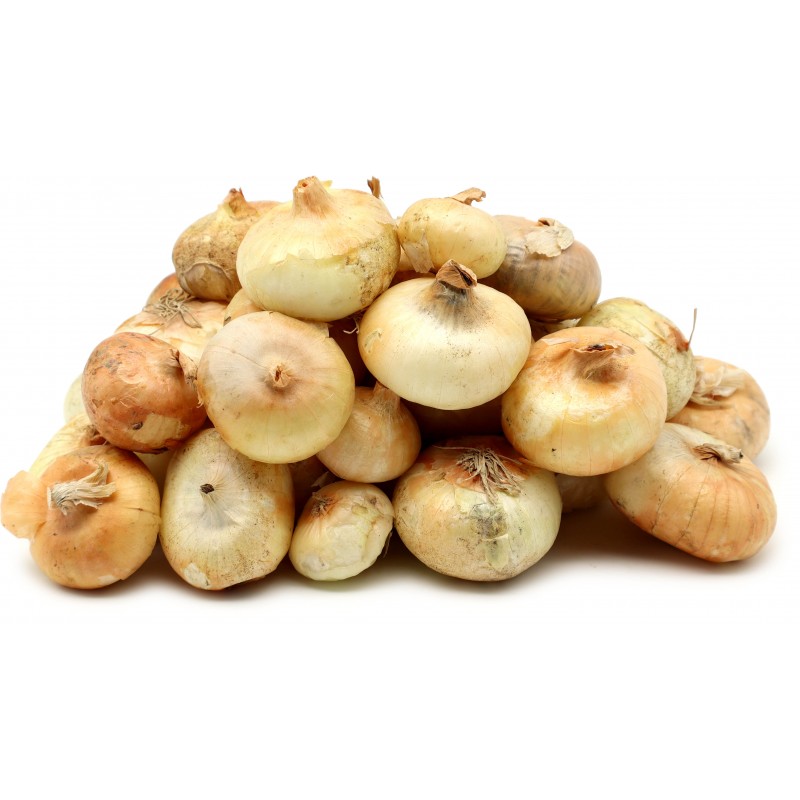 Cipolle borettane cal.1 kg.1