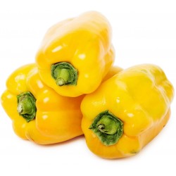 Peperoni gialli kg.1