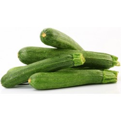 Zucchine Fondi kg.1