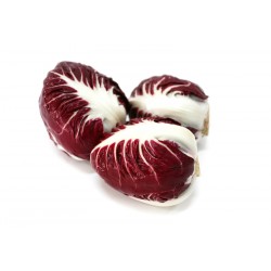 radicchio semilungo gr.500