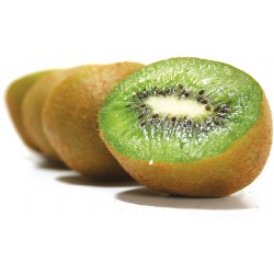 Kiwi Zespri HAYWARD calibro 30 gr.500 Italia