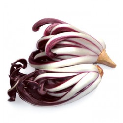 radicchio tardivo gr.500