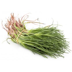 Agretti gr.500