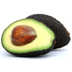 Avocado fresco Hass gr.300