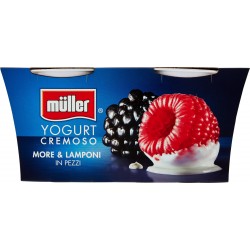 Muller Yogurt more lamponi cremoso gr.125x2