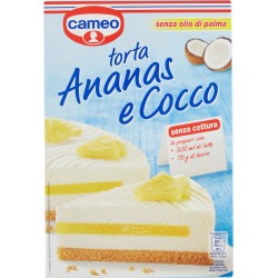 Cameo torta Ananas e Cocco 265 gr.