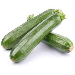 Zucchine nostrane kg.1