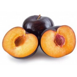 Susine grossa di felisio kg.1