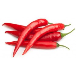 Peperoncino piccante rosso in vaschetta Italia gr.500 (pezzi 10-15)