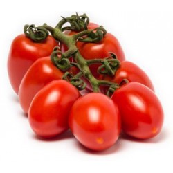 Pomodoro piccadilly kg.1,00