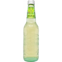 Galvanina ginger ale bio ml.355 vap
