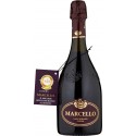 Marcello vino lambrusco etichetta viola cl.75