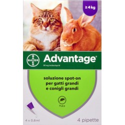 Bayer advantage spot-on gatti grandi e coniglio maggiori di 4 kg