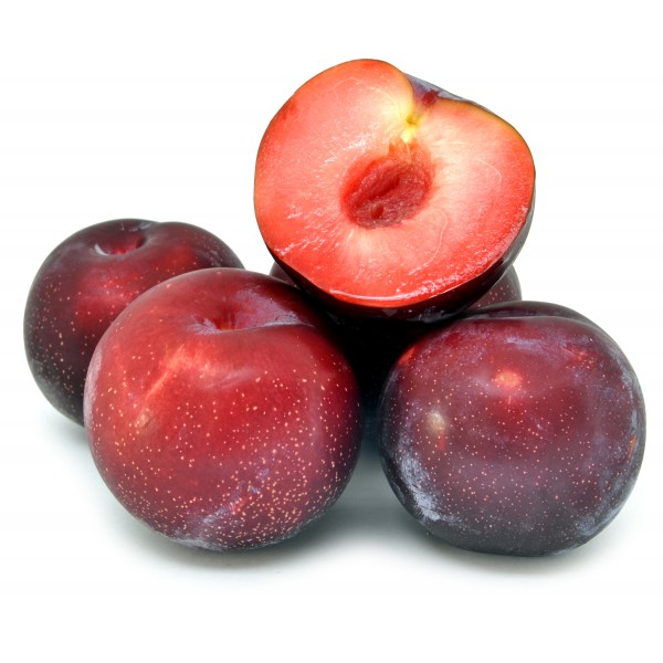 Susine Crimson kg.1