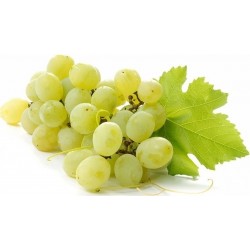 Uva bianca Italia extra sicilia kg.1