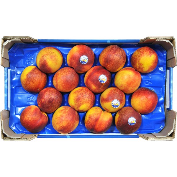 Pesche nocine cal. 18 kg.4,5