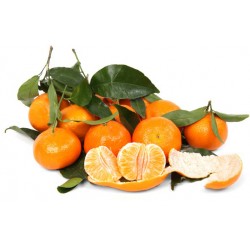 Clementine foglia Italia CL1 kg.1