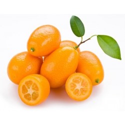 Kumquat kg.1