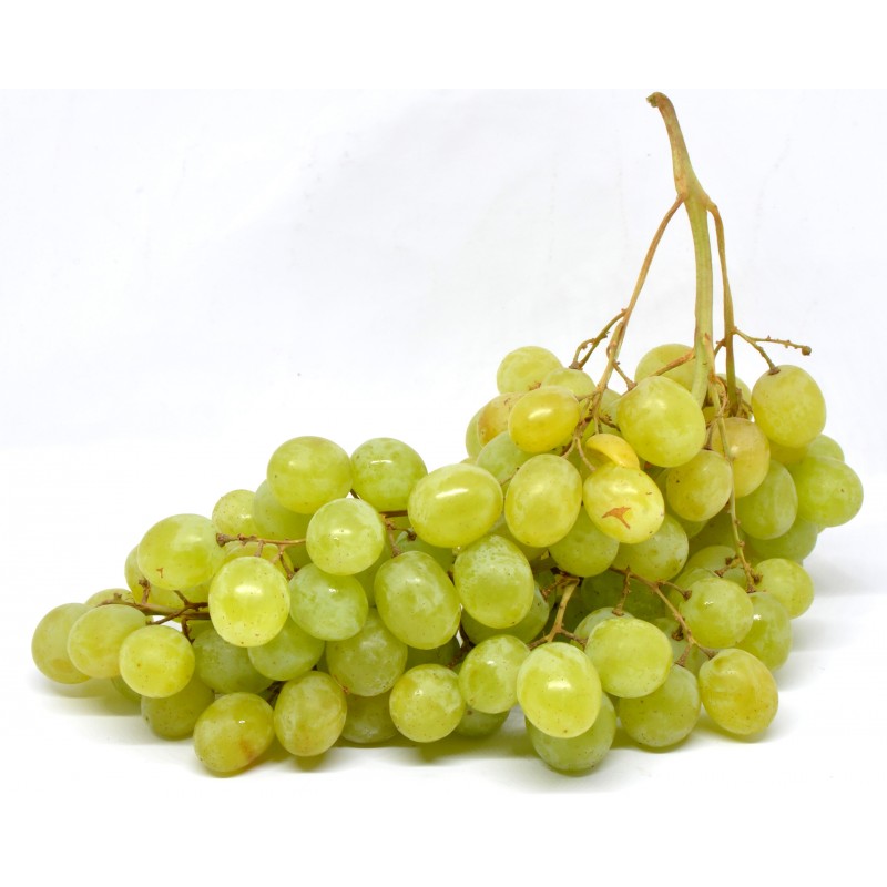 Uva Senza Semi Fa Male Uva Bianca Timpson Senza Semi | Frutta Fresca Sfusa kg. 1