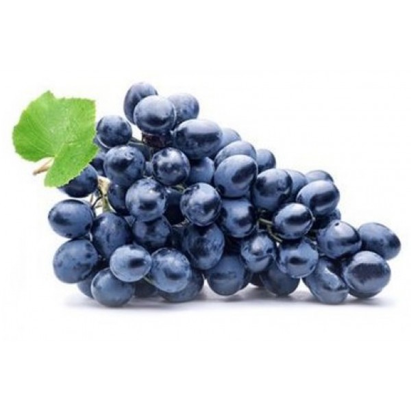 Uva nera midnight beauty 500gr (za) Uva nera midnight beauty 500gr (za)