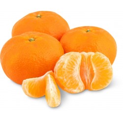 Clementine mandalate cal 1/2 it kg.1