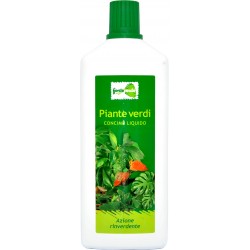 Fonteverde concime piante verdi liquido lt.1