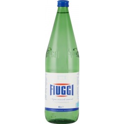 Fiuggi acqua leggermente frizzante lt.1 vap