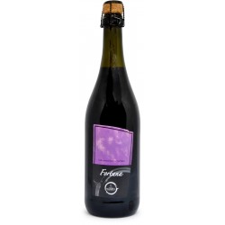 Mainetti fortana vino emilia frizante cl.75