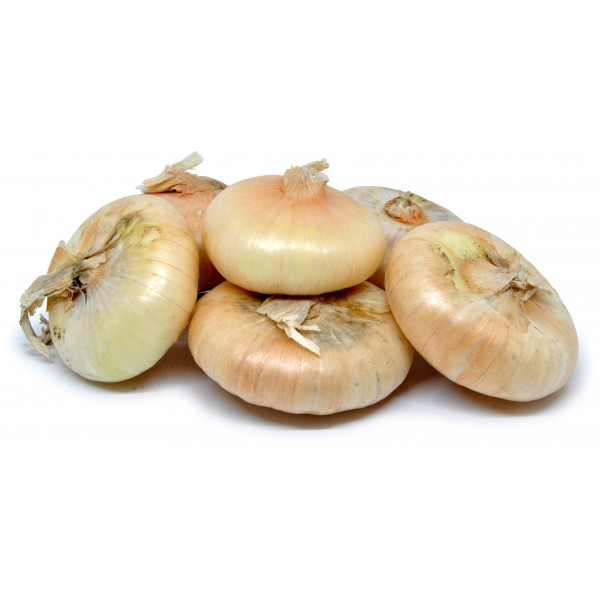 Cipolle borettane cal.5 kg.1