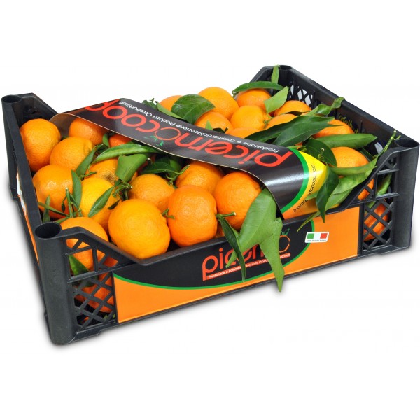 Clementine cal. 1 kg.6 circa cassetta Clementine cal. 1 kg.6 circa cassetta