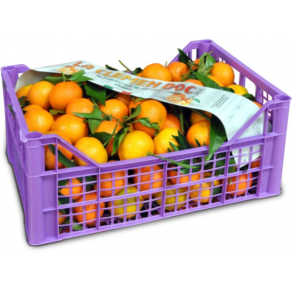 Clementine cal. 3 kg 8 circa cassetta