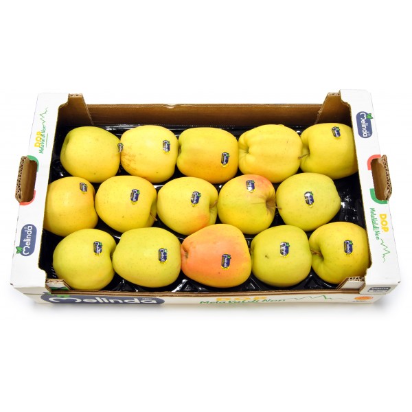 Mele golden melinda cal75/80 cassetta kg.5