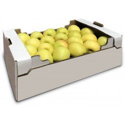 Mele golden trentino cal.75/80 kg.9 cassetta