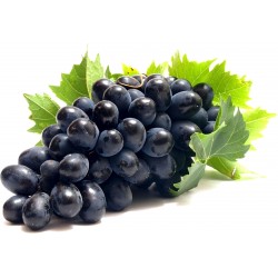 Uva nera arra senza semi kg.1