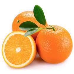 Arance navel kg.1 cal.8