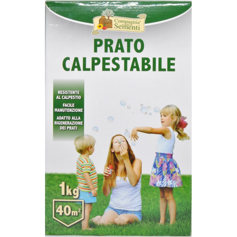 Prato Calpestabile Crescita Rapida Semi Di Prato Greenato Sport - Foto 8