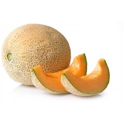 Melone retato kg.1,3 circa