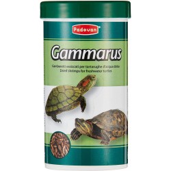 Padovan gammarus gamberi per tartarughe gr.30